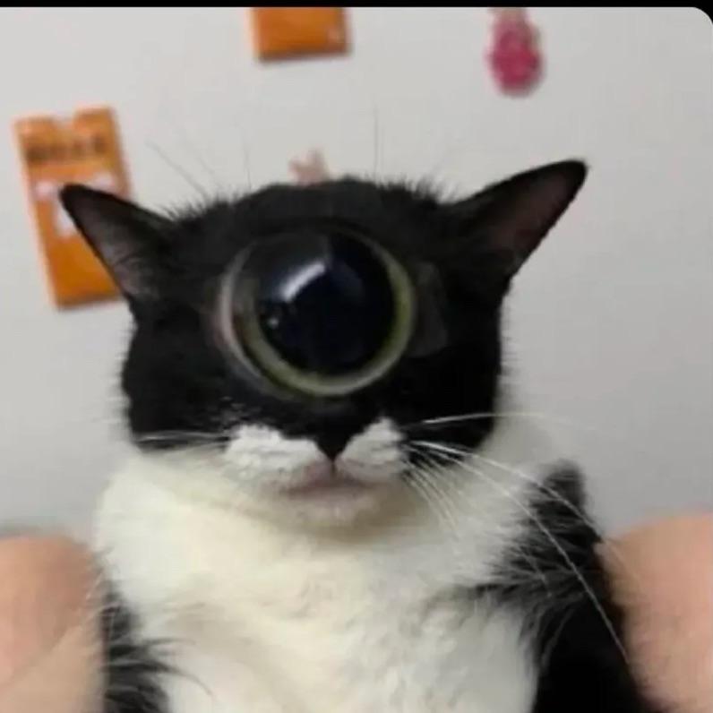 dorf avatar