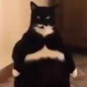 Tex_