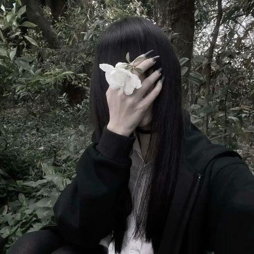 lilifi avatar