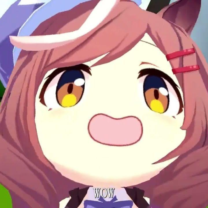 HalterxD