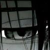 nefeI1bata avatar