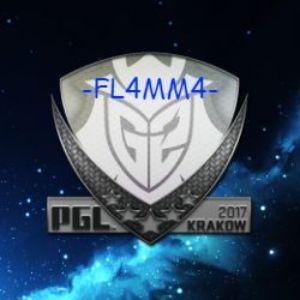 Player -FL4MM4- avatar