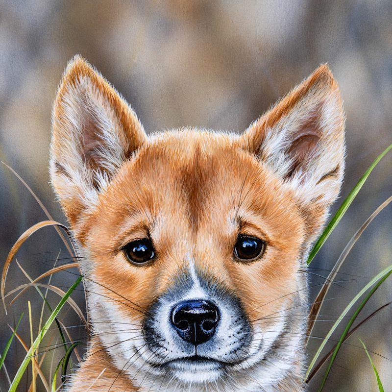 DiNGITO