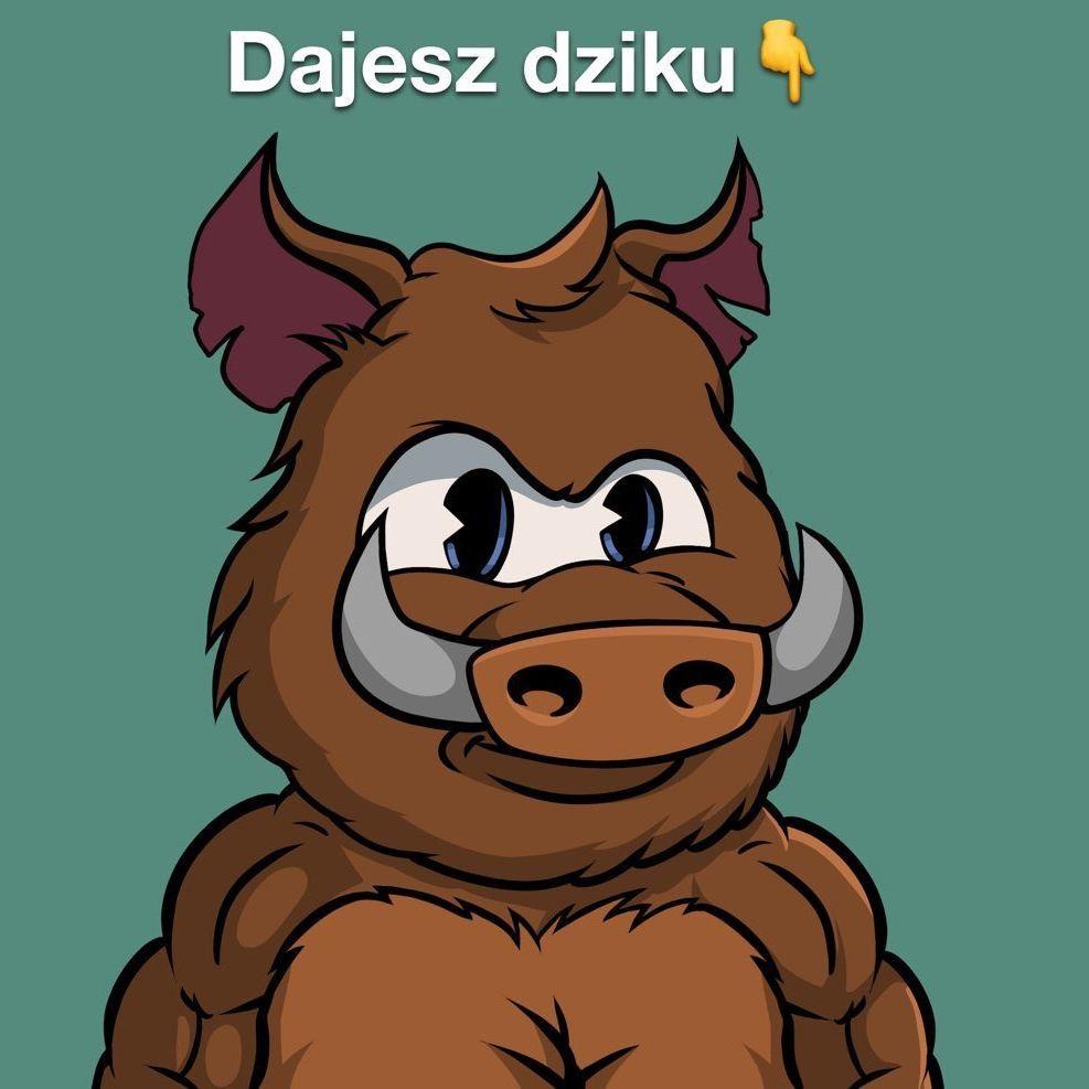 Player Dziku_95 avatar