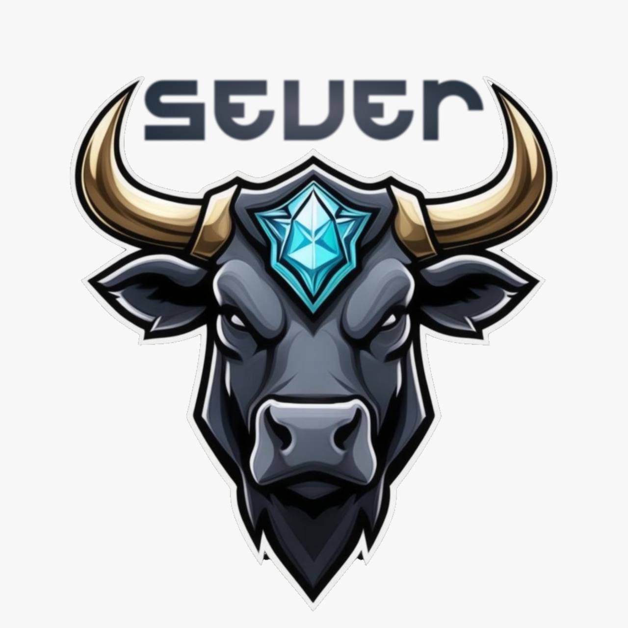 SEVER14 TEAM