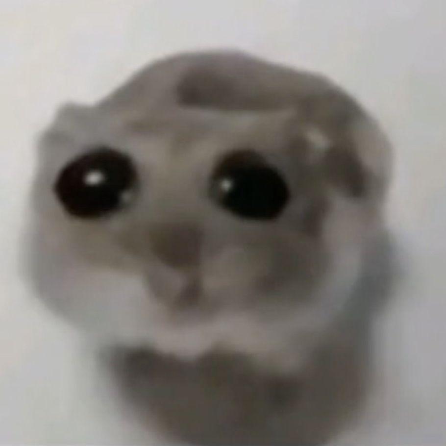 forsan avatar