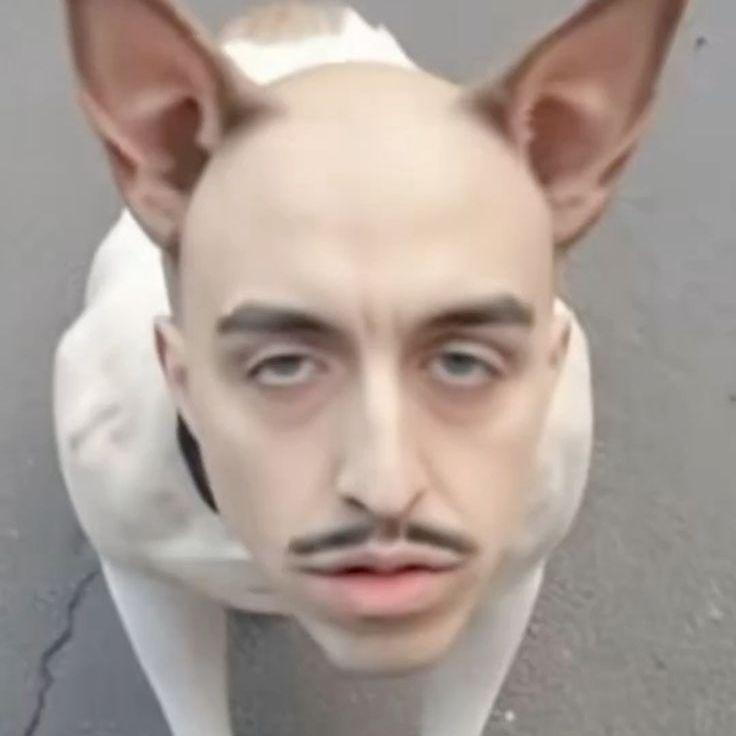 dos3ak avatar