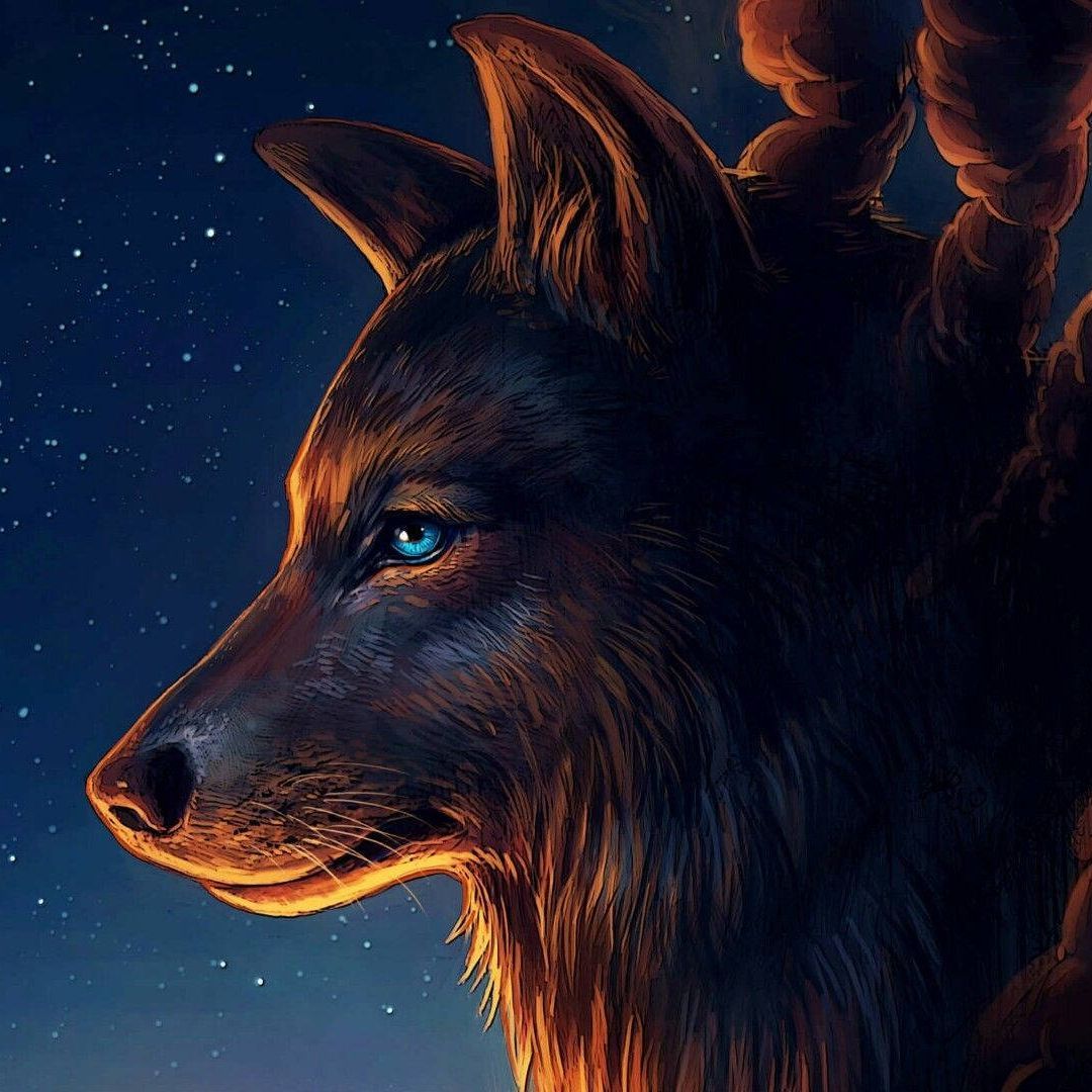 _llukii avatar