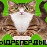 SHDRPRDSH