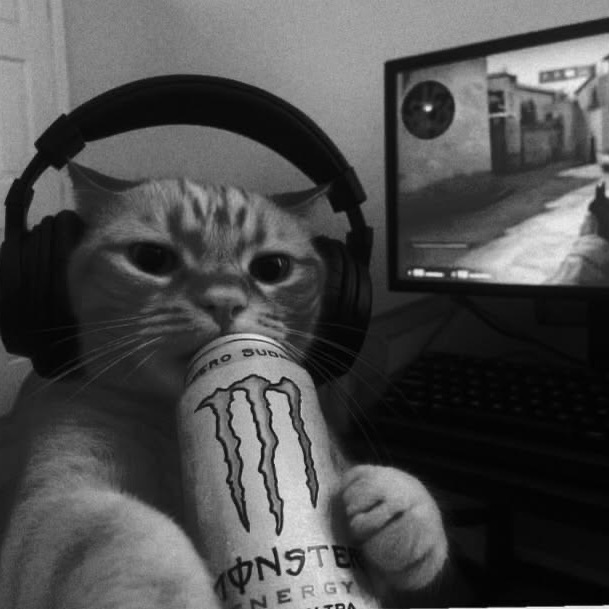 verso-maer FACEIT avatar