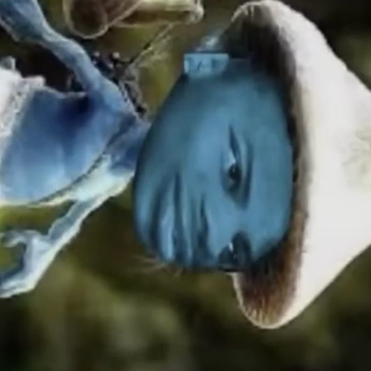 tommyycau