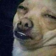 Spidson- FACEIT avatar