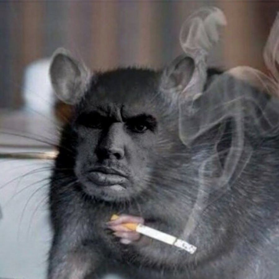 ImDerZk1Y