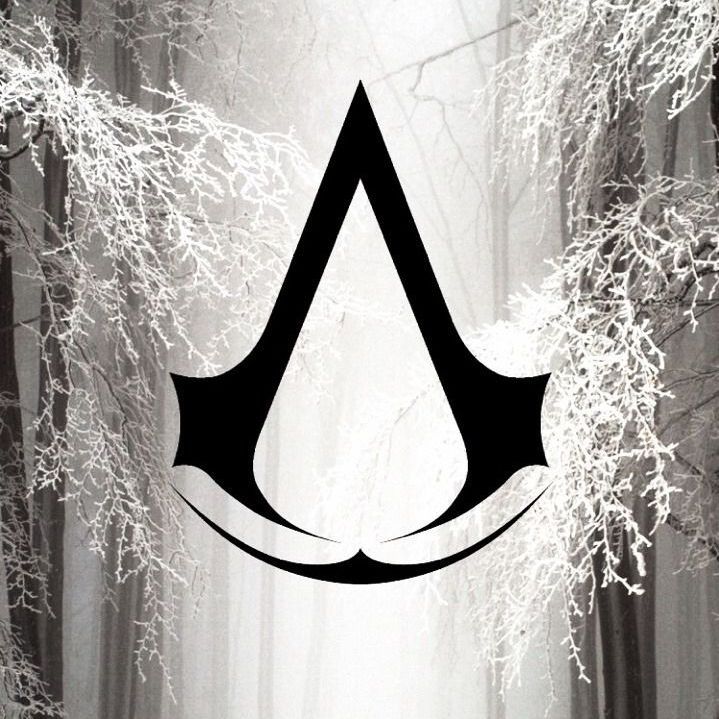 Assassin212