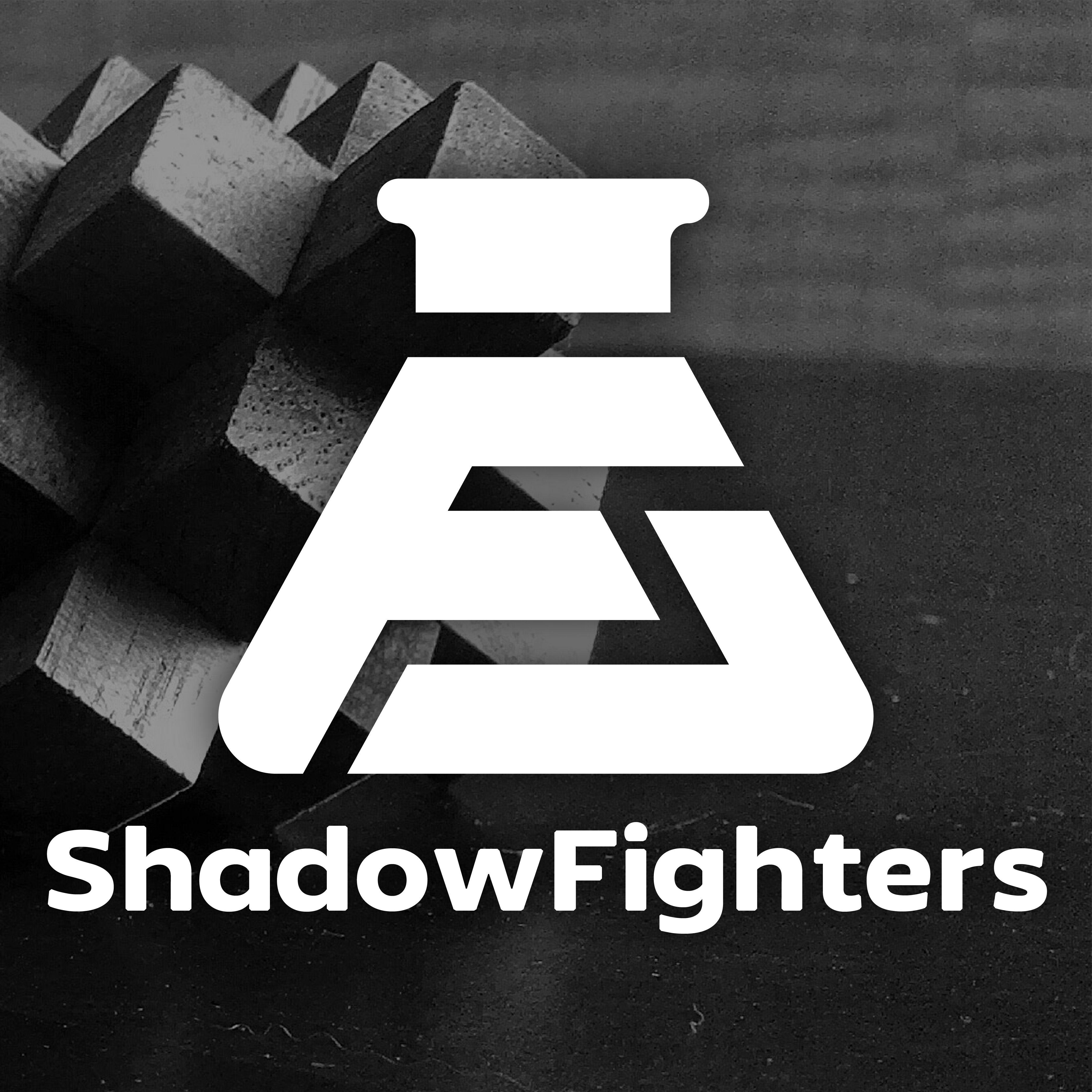 FLShadowFighter