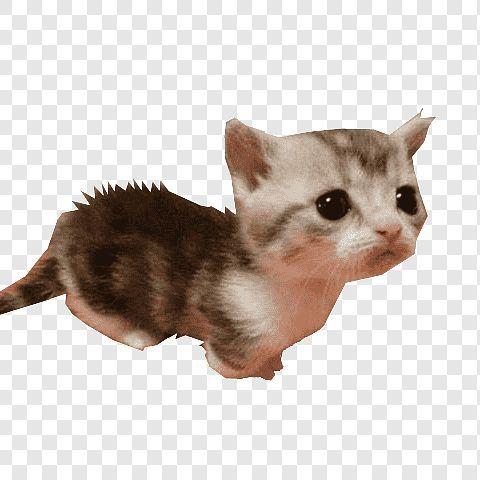 SpicyyPeppa avatar
