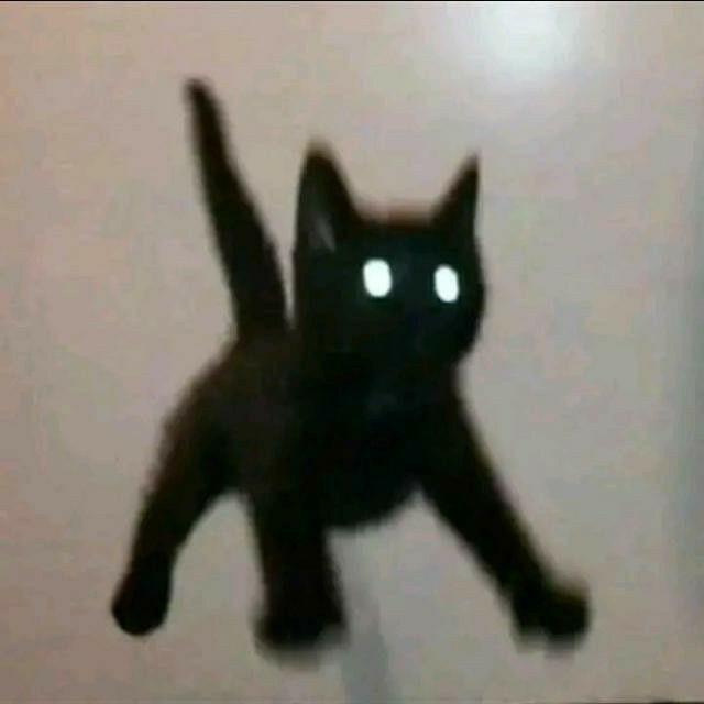 skolko_mojn0 avatar