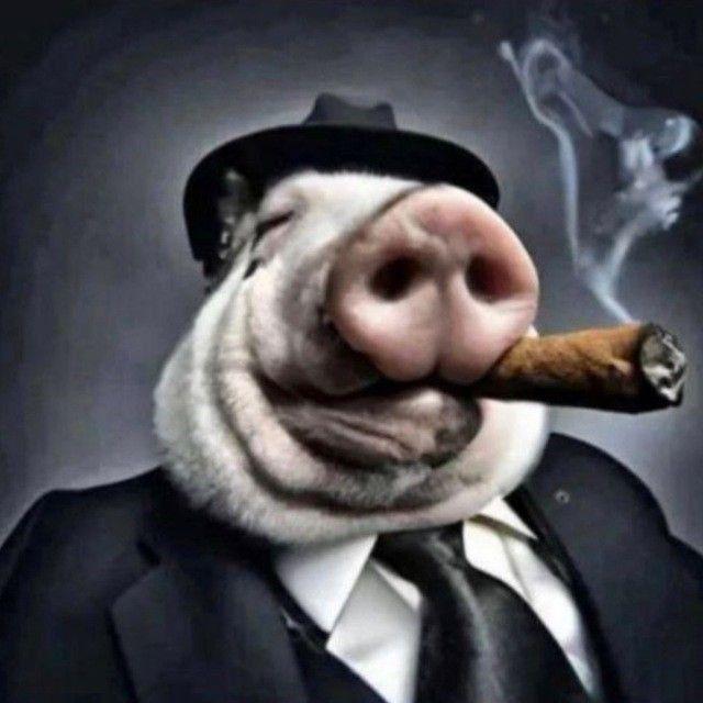 caxapohk avatar