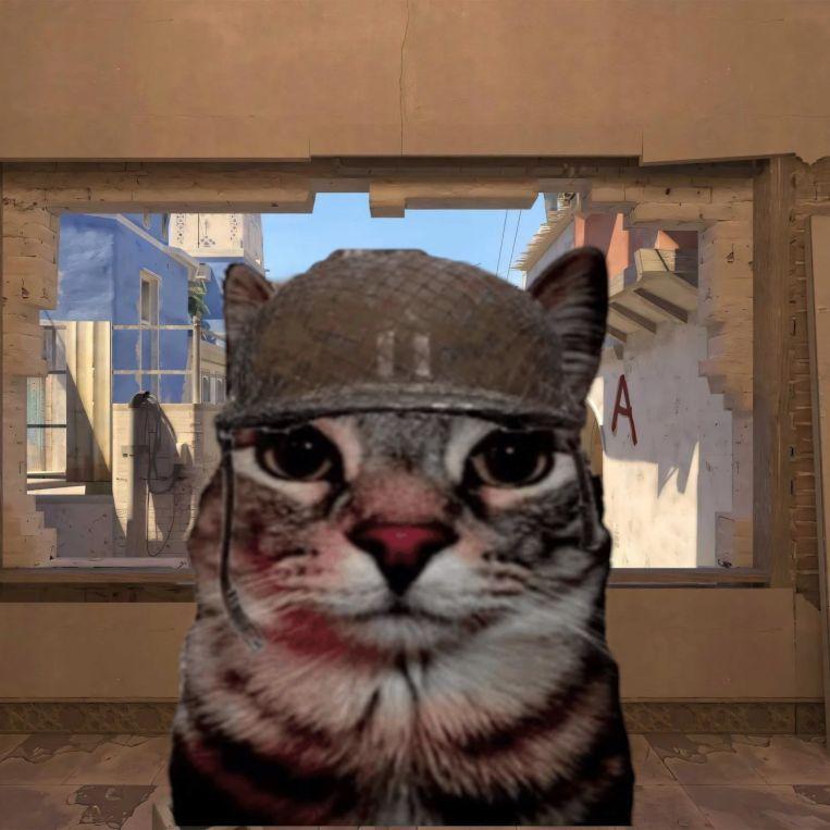 kubrix321 avatar