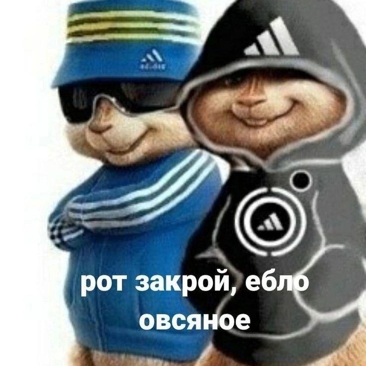 kladmoney avatar