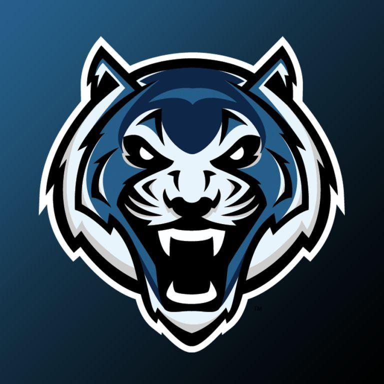 DenSo0 avatar