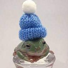 beaniefrog2