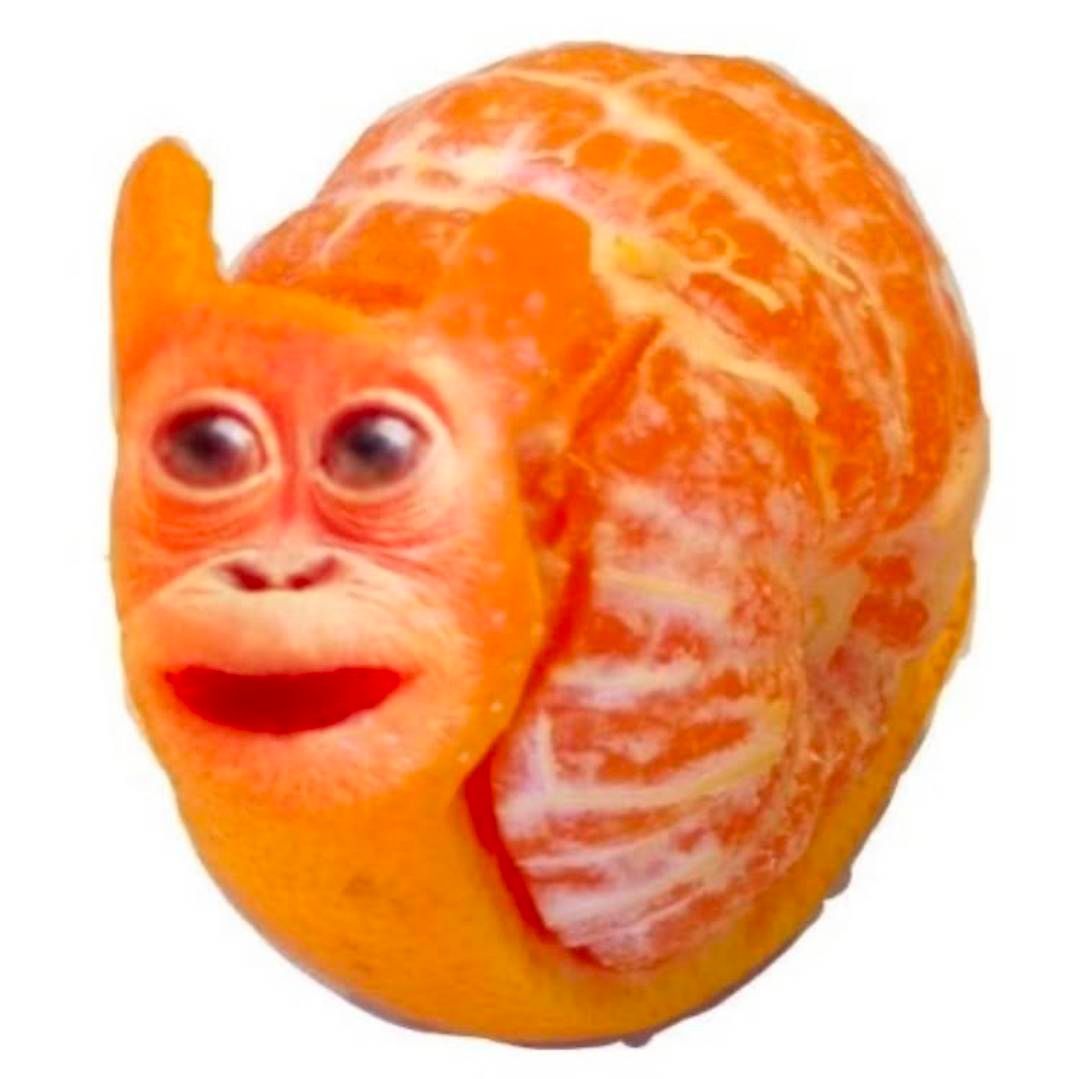 fuskus