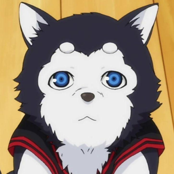 TetsuyaNigo avatar