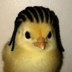 Dejota