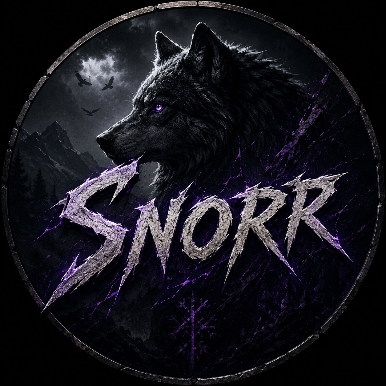 team_Snorr