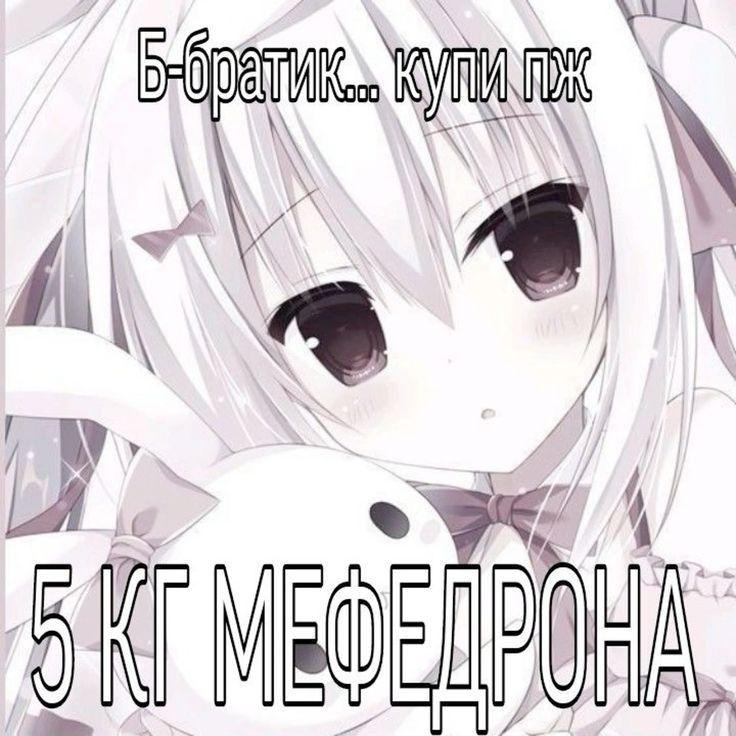 sapov avatar