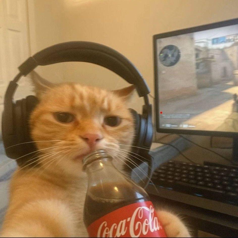Faceit avatar
