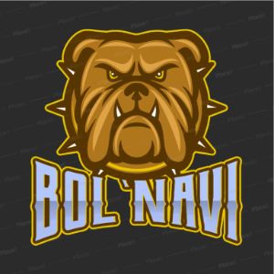 bol_NAVI