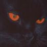 Faceit profile picture for @oblivious