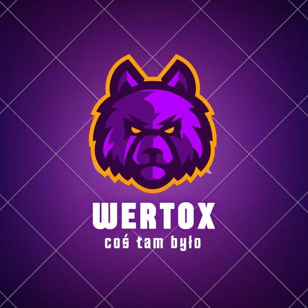 WerToX90 avatar