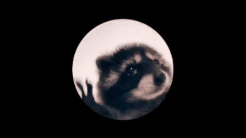 GhostN1ck avatar