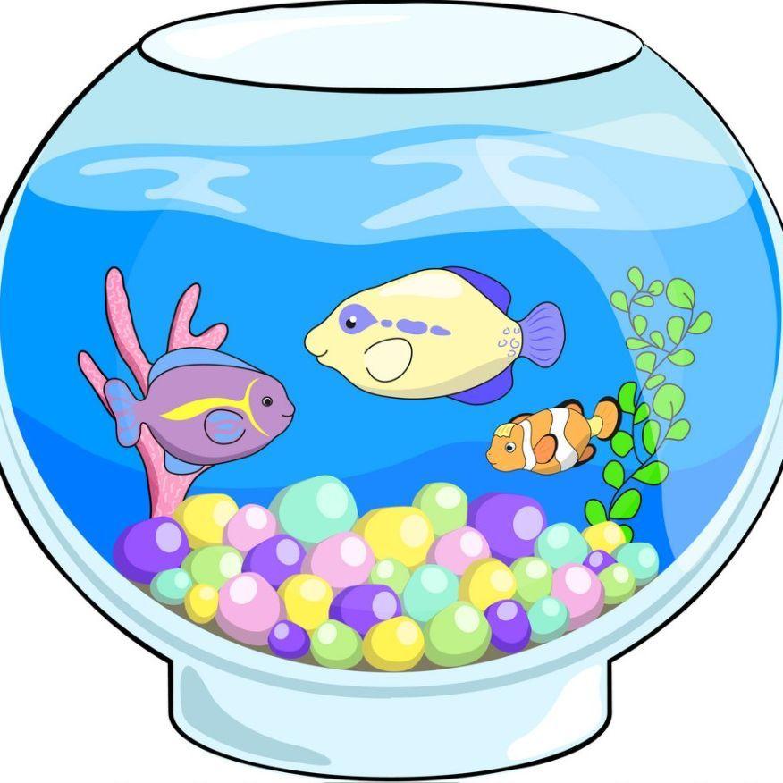 Player fish_tank avatar