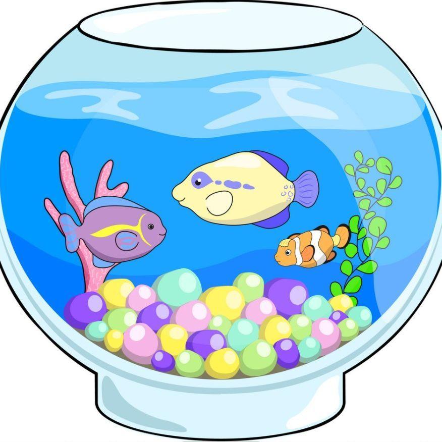 fish_tank avatar