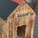 Ho1lovv