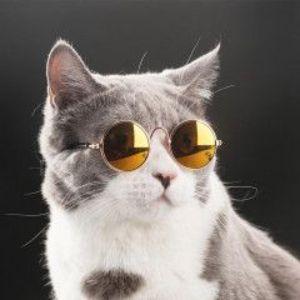 Guestpointed avatar