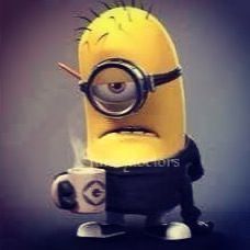 team_minionw0wzk1