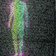 Atum2008 avatar