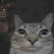 _mrnooB