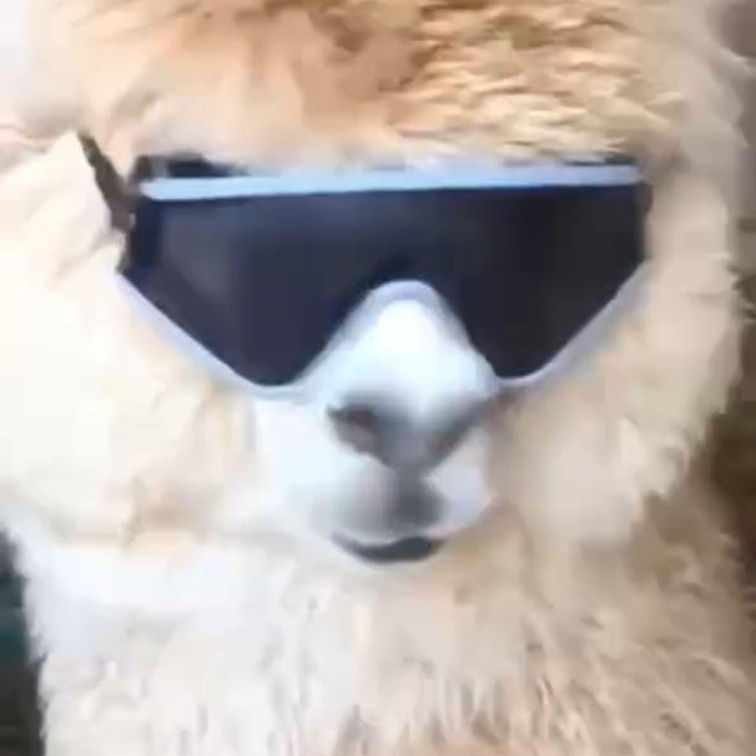 texnk avatar