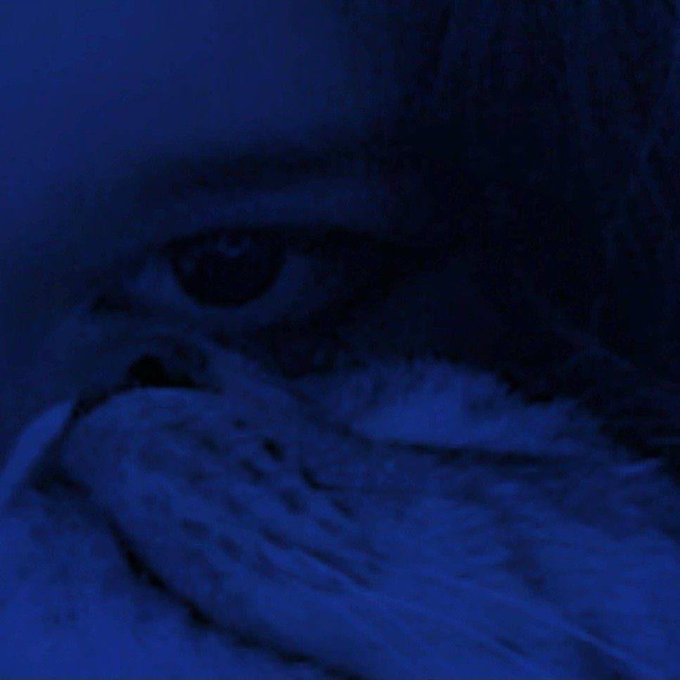 Soniks52 avatar