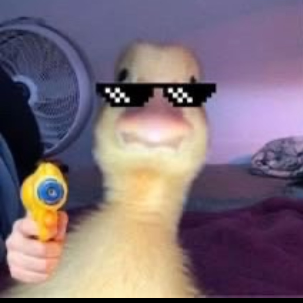 kungj1