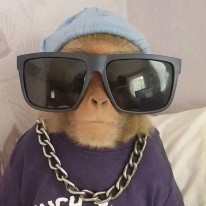 mikolik avatar
