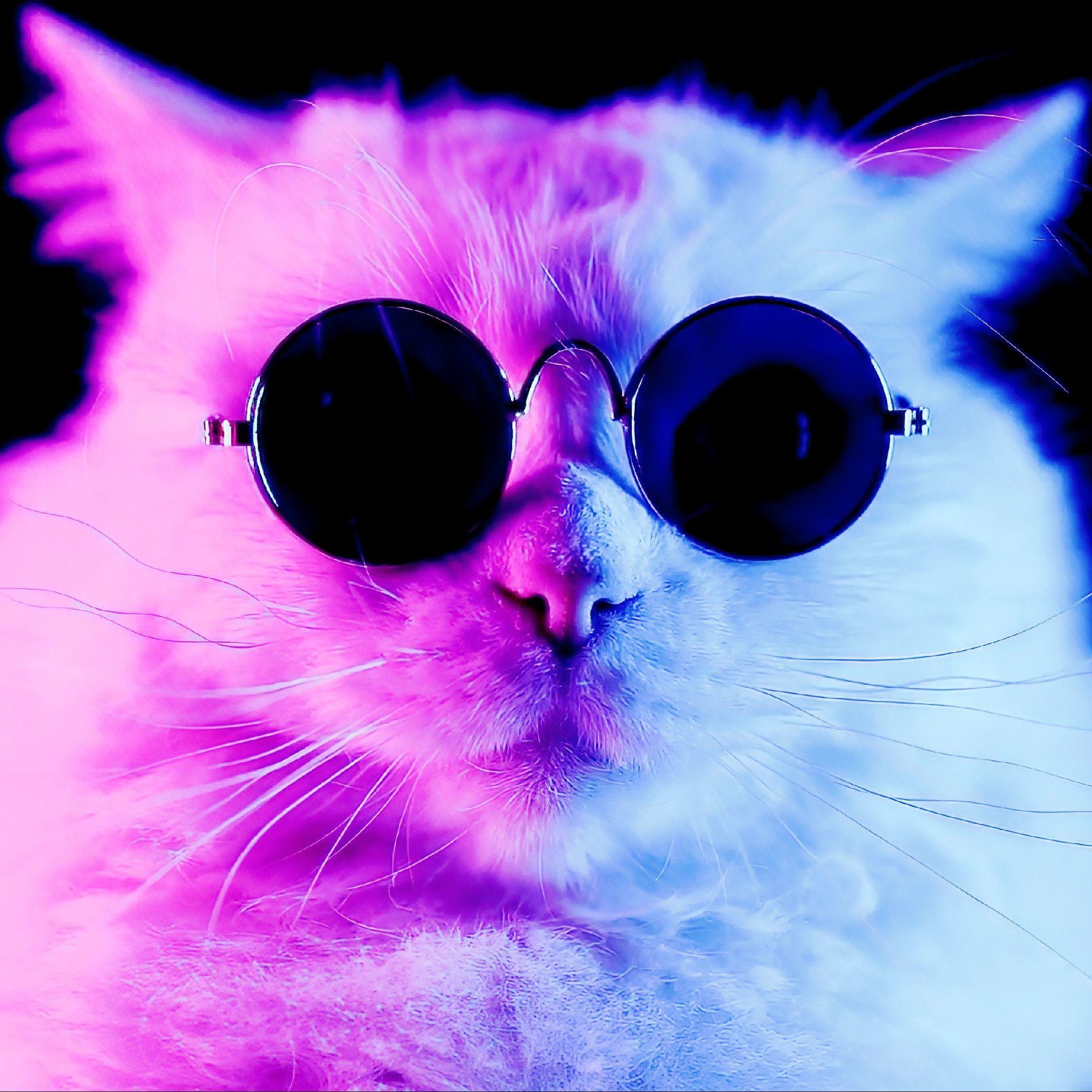 T0mppaz