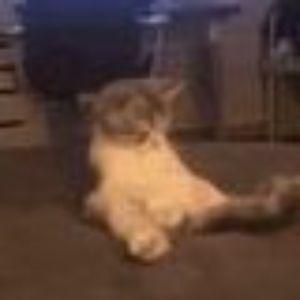 R0ckabye_ avatar