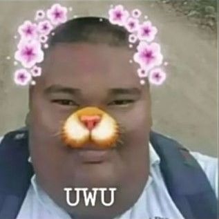 _LUPa_
